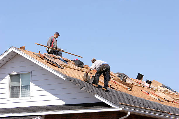 Best Roof Moss and Algae Removal  in Mount Carroll, IL